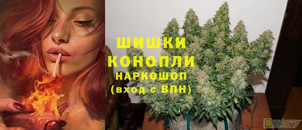 ешки Пересвет