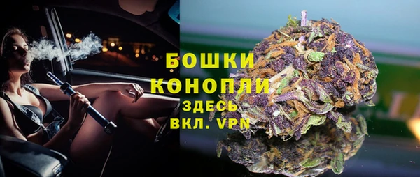 ешки Пересвет