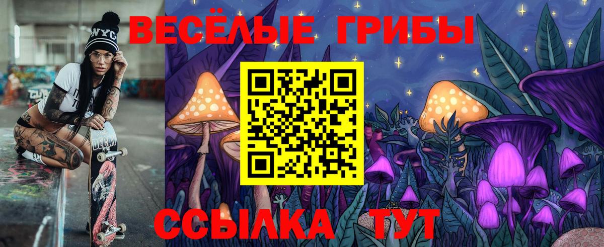 Галлюциногенные грибы MAGIC MUSHROOMS  Торжок 