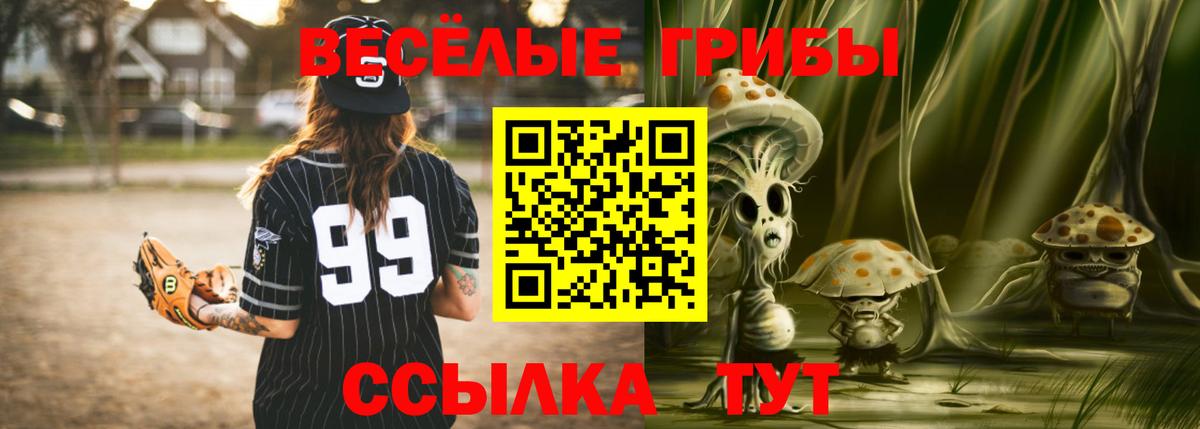 Галлюциногенные грибы GOLDEN TEACHER Торжок